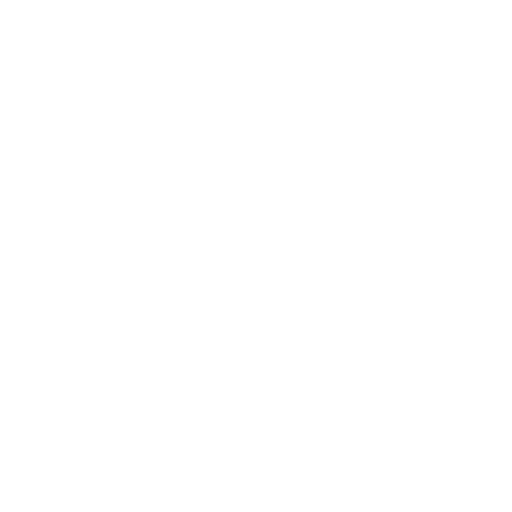 DeepSeek DeepSeek